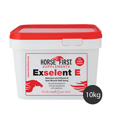 Horse First Exselent E