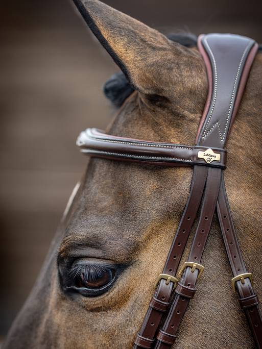 Lemieux Competition Flash Bridle