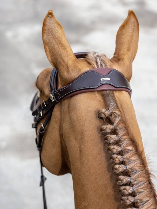 Lemieux Competition Flash Bridle