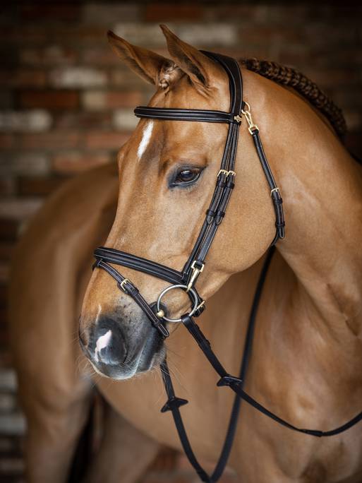 Lemieux Kudos Work Bridle