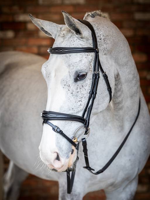 Lemieux Competition Flash Bridle