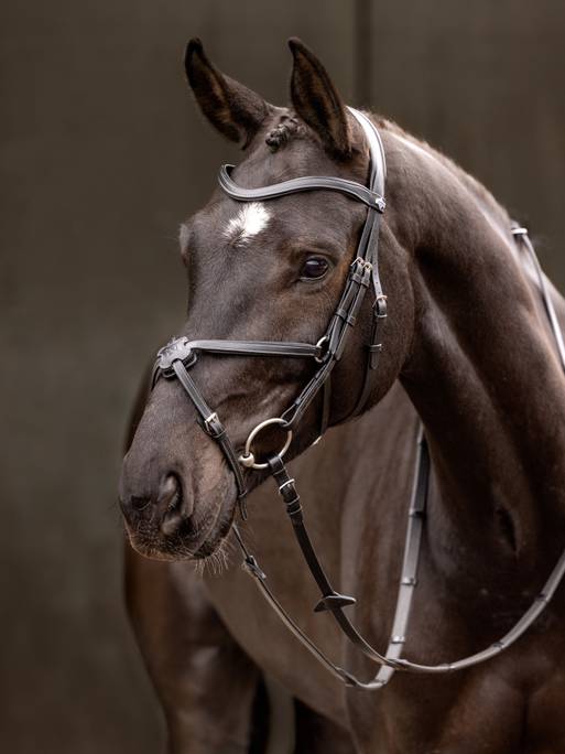 Lemieux Arika Grackle Bridle