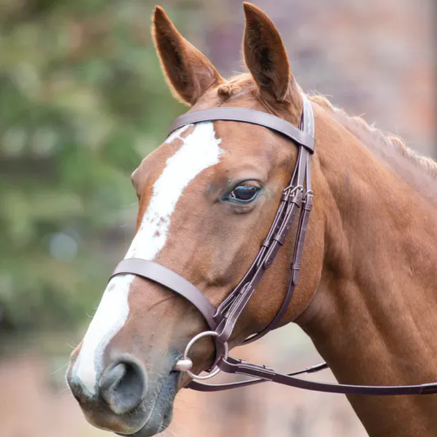 Shires Avignon Hunter Cavesson Bridle