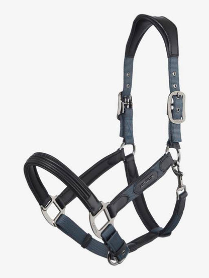 Lemieux Capella Headcollar AW24