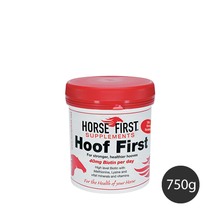 Horse First HoofFirst