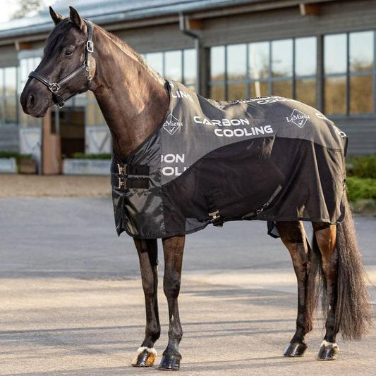 Lemieux Carbon Cooler Rug