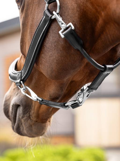 Lemieux Leather Grooming  Headcollar