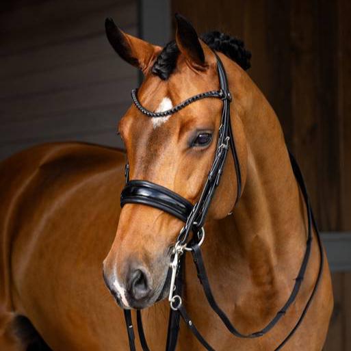 Lemieux Kudos Double Bridle