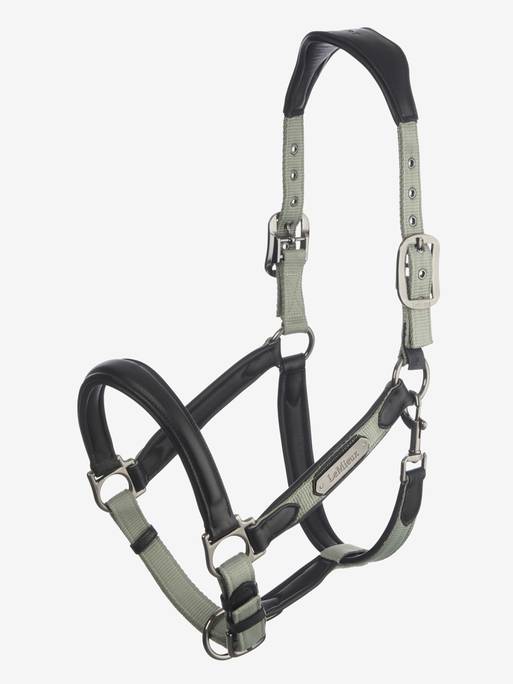 Lemieux Capella Headcollar