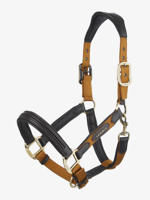 Lemieux Capella Headcollar AW24