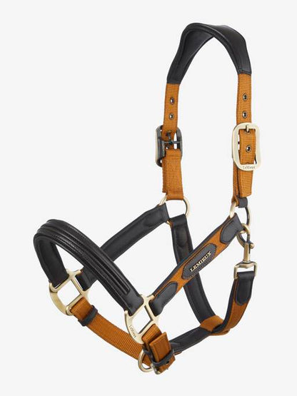 Lemieux Capella Headcollar AW24