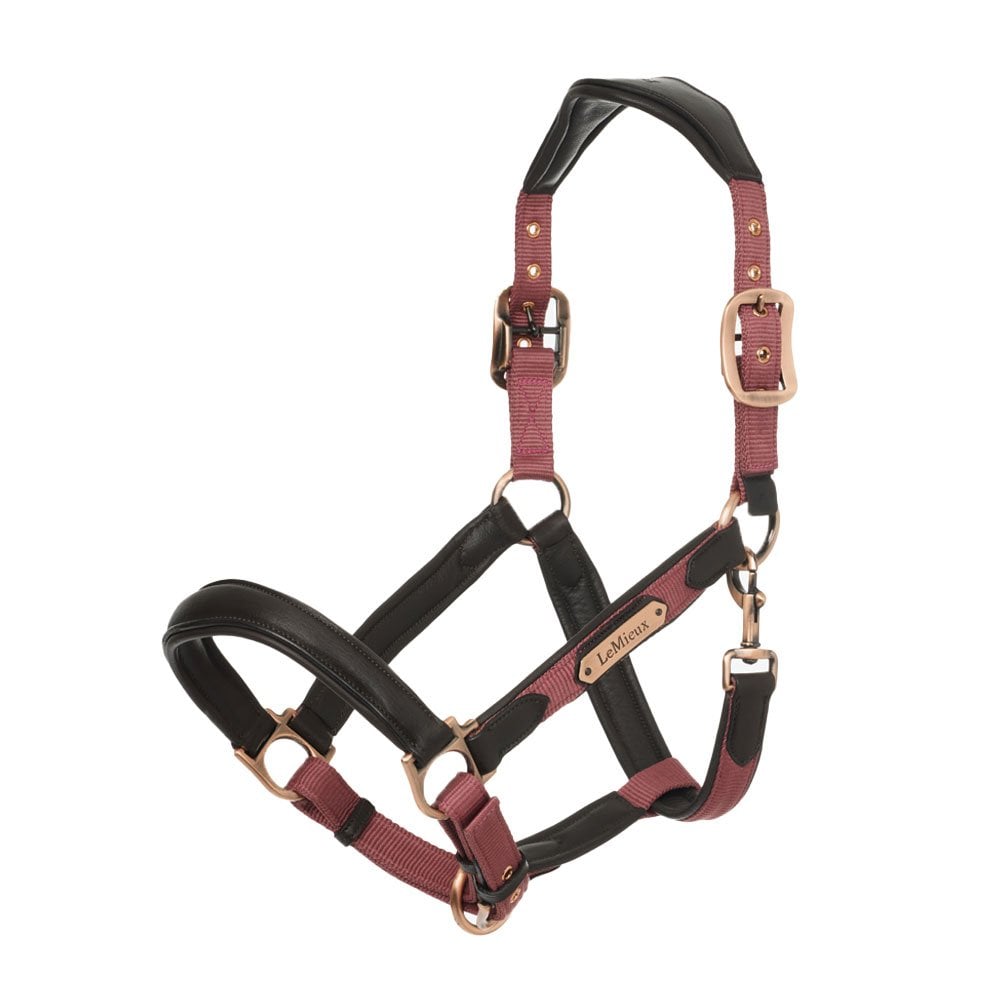 Lemieux Capella Headcollar