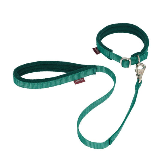 Lemieux Toy Puppy Training Lead And Collar