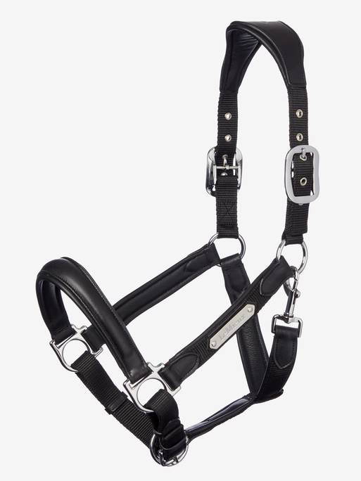 Lemieux Capella Headcollar