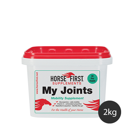 Horse First My Joints