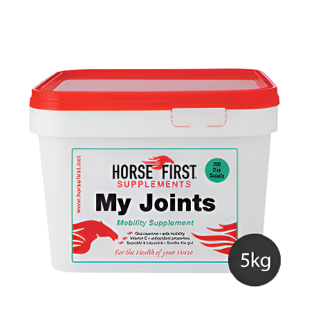 Horse First My Joints