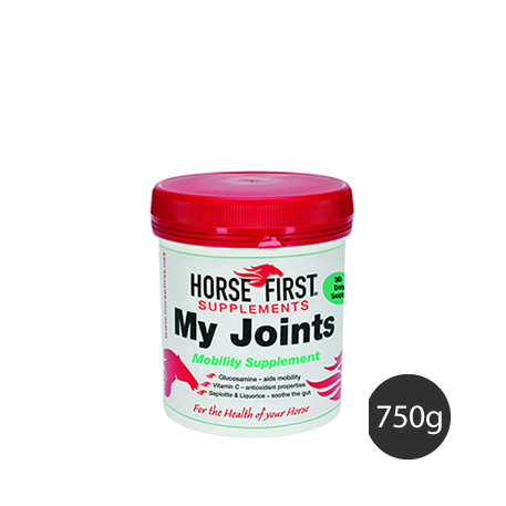 Horse First My Joints