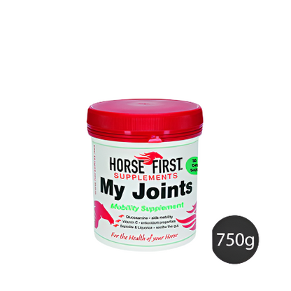 Horse First My Joints