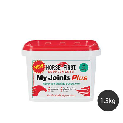 Horse First My Joints Plus