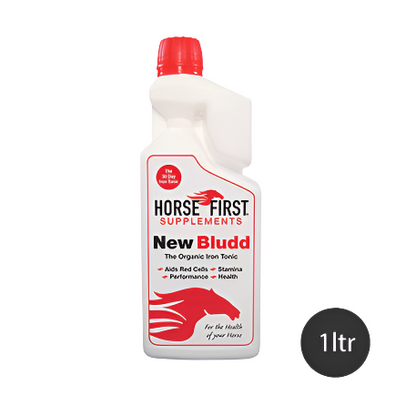 Horse First New Bludd