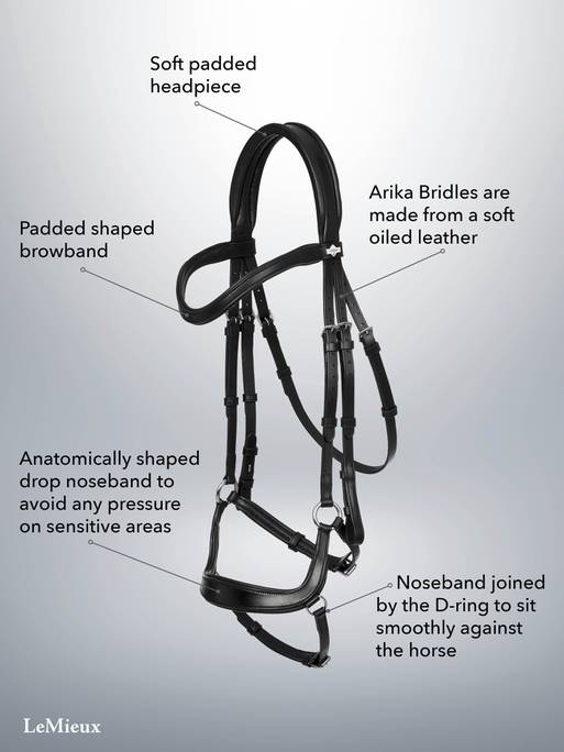 Lemieux Arika Drop Bridle